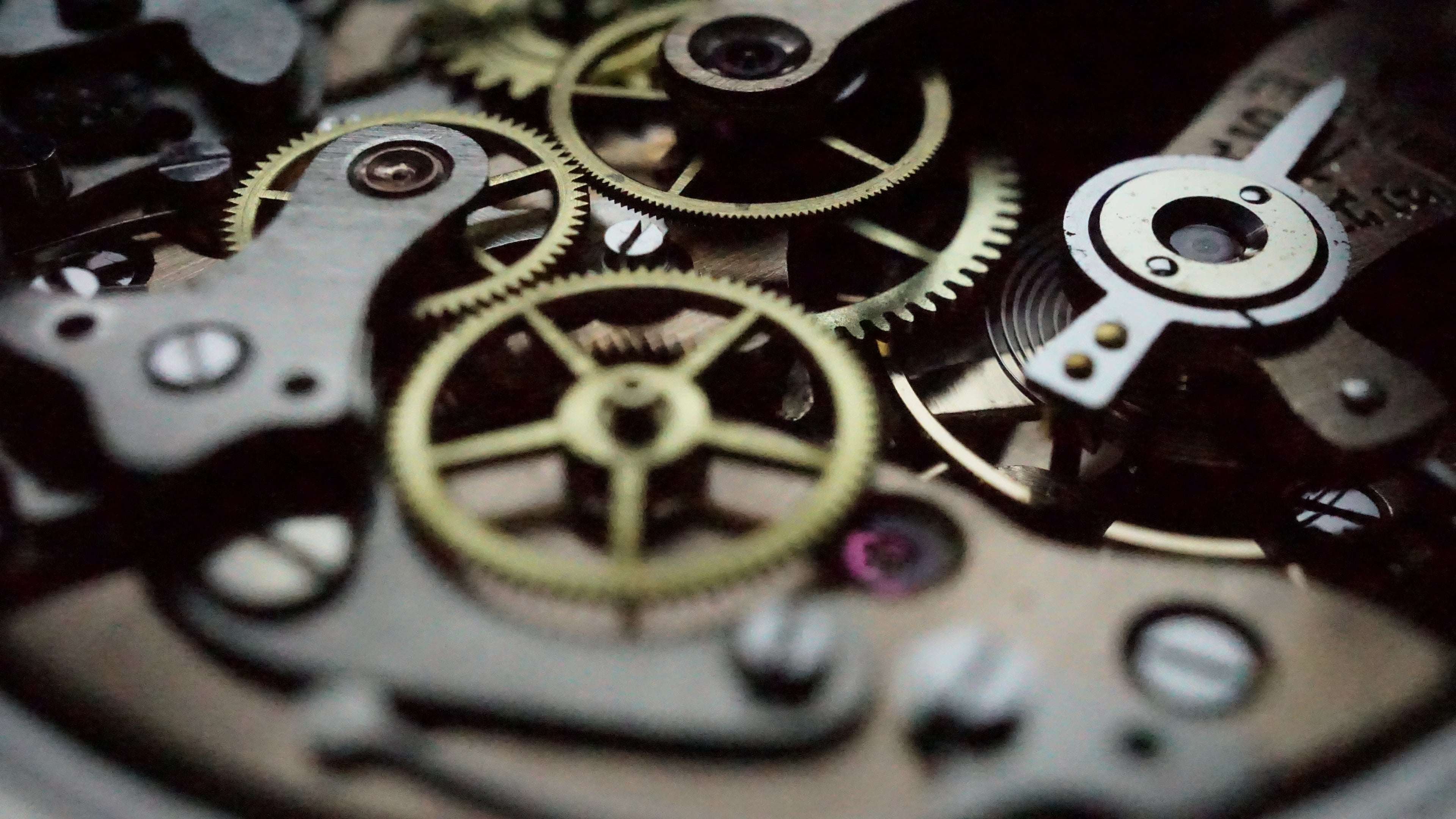 Monsegur Chronograph gent's 1960s – Rare White Waffle Dial – Swiss Vintage Fama Elegance